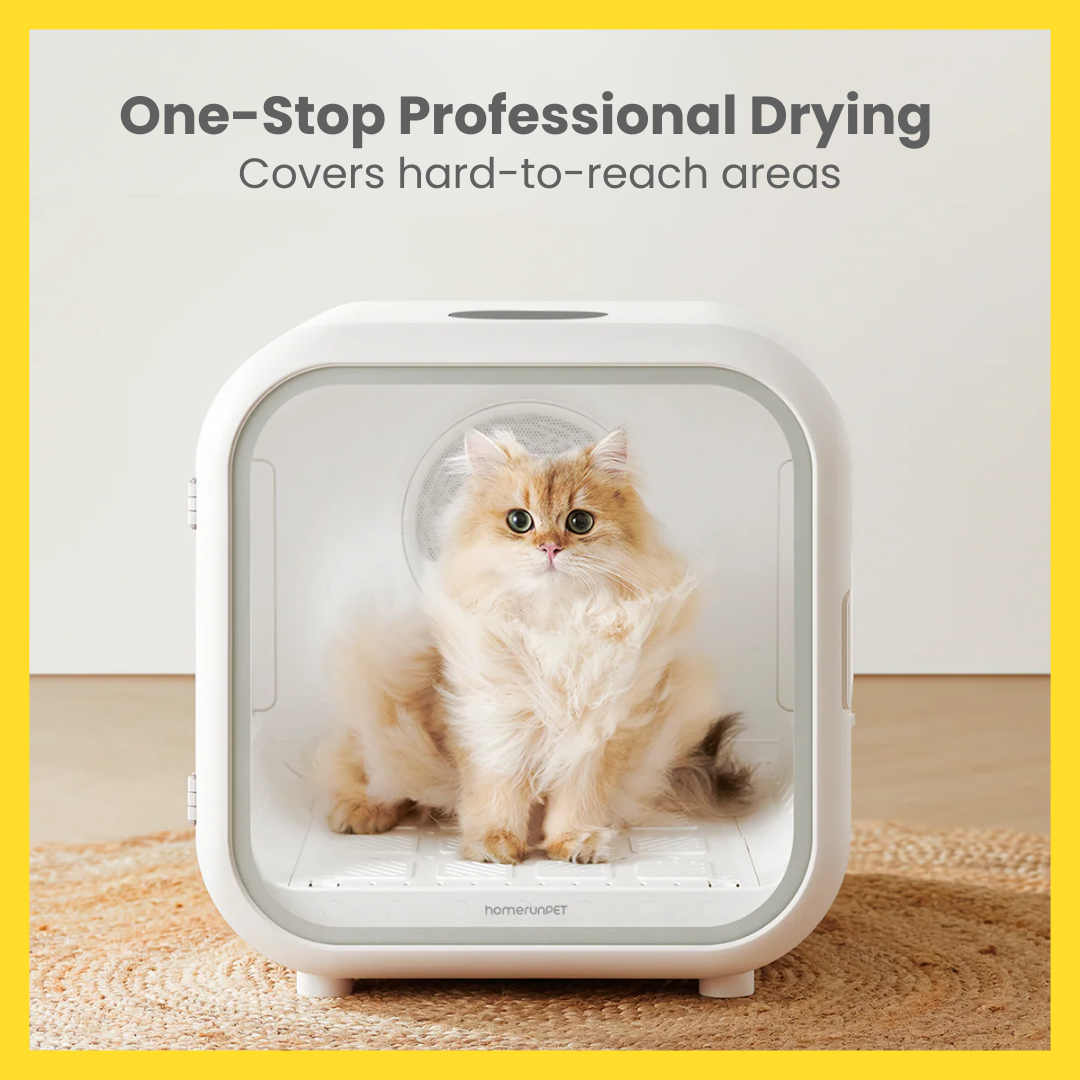 Homerunpet Drybo Plus Pet Dryer Box