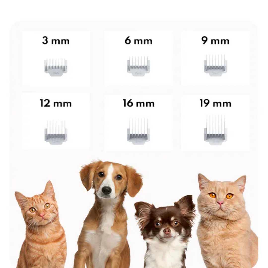 Homerunpet Vacuum Grooming Kit 6 IN 1