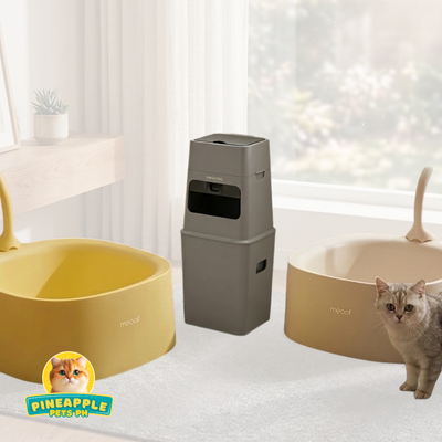 MEOOF Minimalist High Sided Litter Box with NEAKASA Pooguard (Exclusive Bundle)
