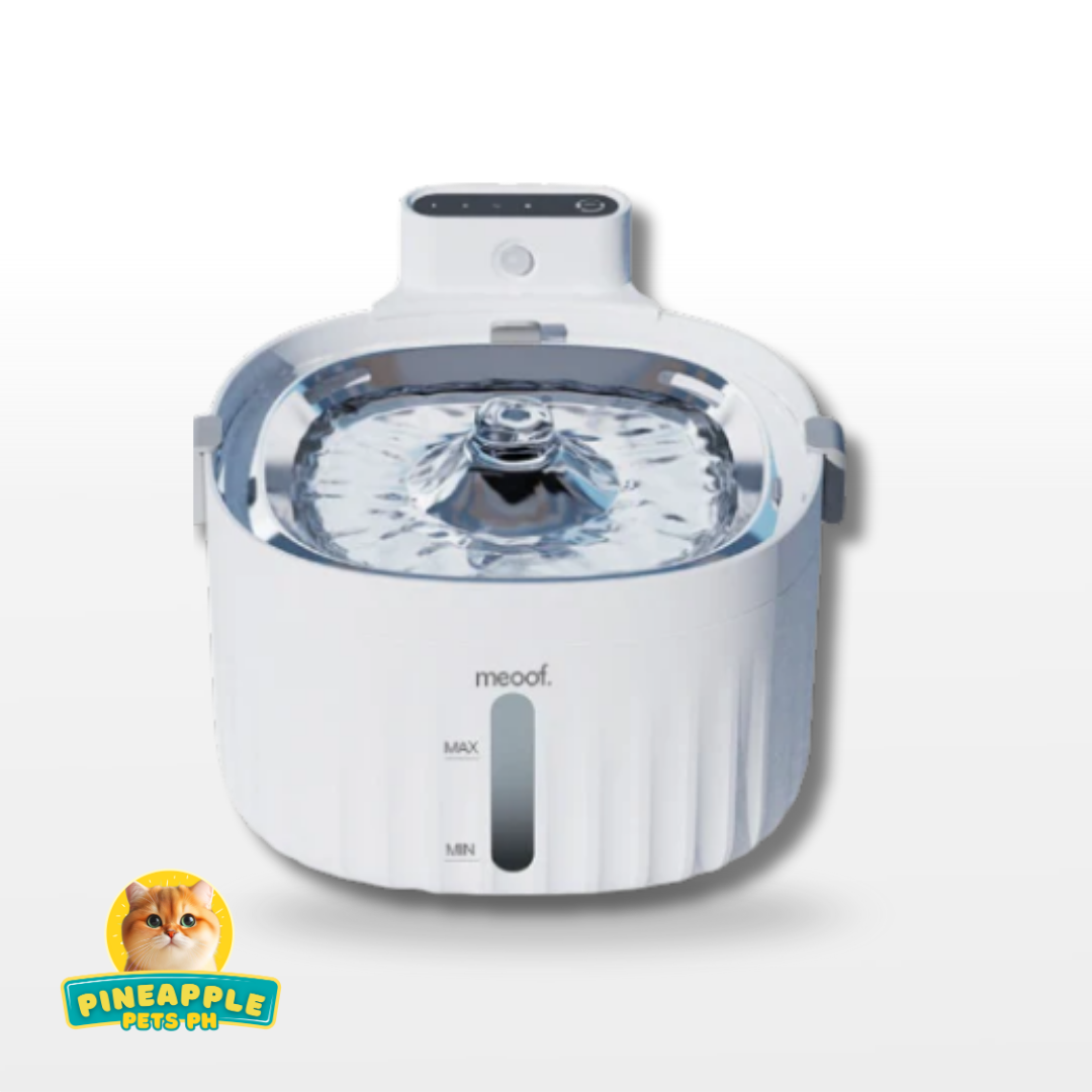 Meoof Automatic Wireless Water Fountain with Motion Sensor
