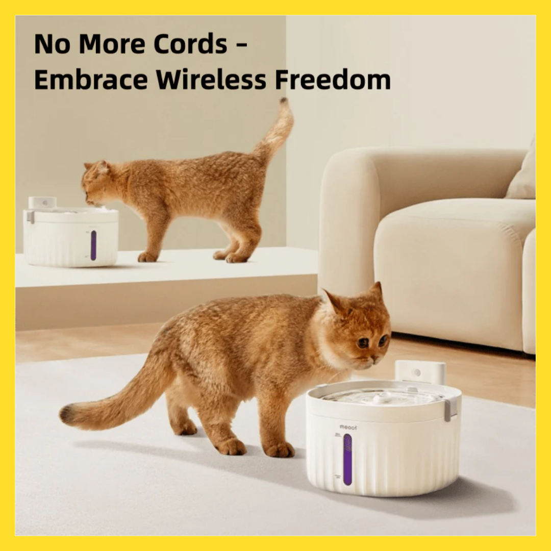 Meoof Automatic Wireless Water Fountain with Motion Sensor