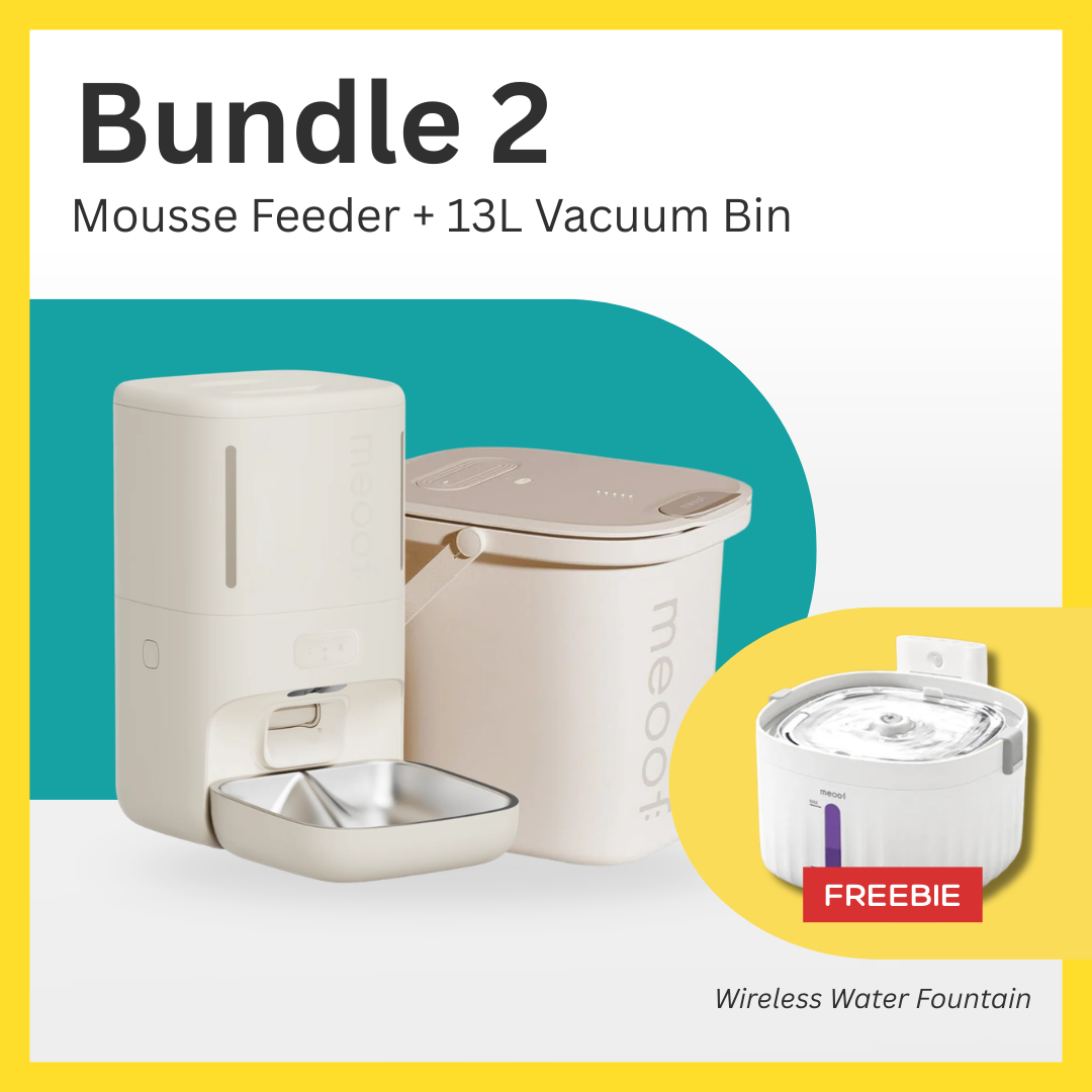 Meoof Feeder Bucket Fountain Bundle