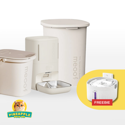 Meoof Feeder Bucket Fountain Bundle