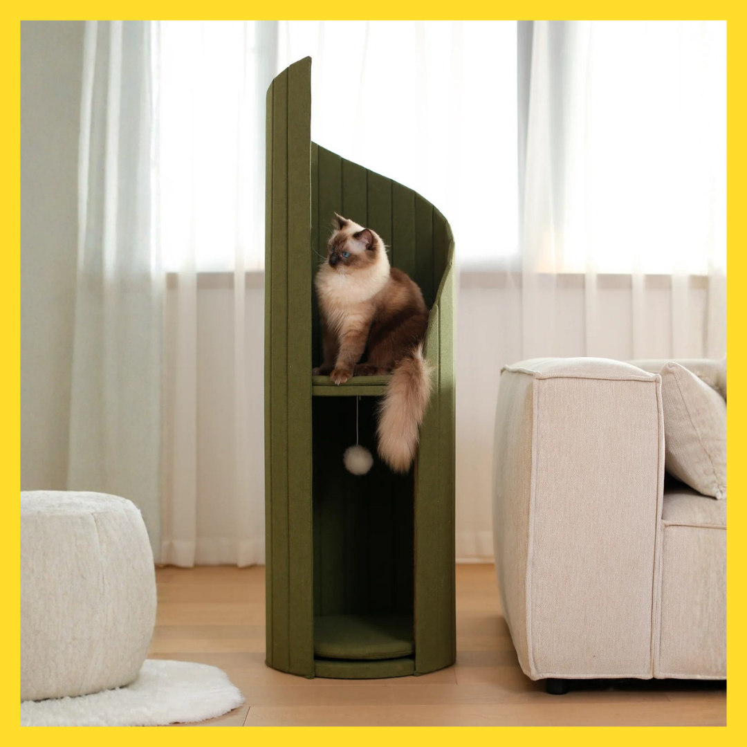 MEOOF TIME TREE CAT TOWER