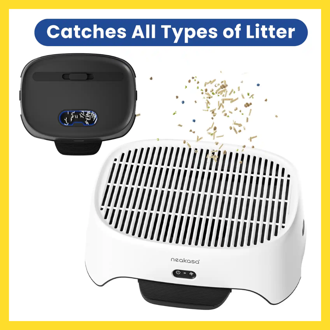 Neakasa AirStep Odor-Eliminating Cat Litter Box Step