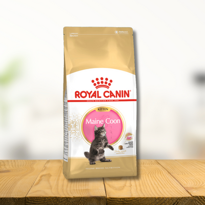 Royal Canin Maine Coon Kitten 2kg