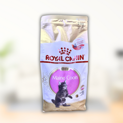 Royal Canin Maine Coon Kitten 2kg