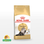 Royal Canin Persian Adult and Kitten Cat Food 2kg