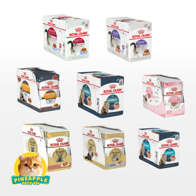 Royal Canin Wet Cat Food 85g Gravy (1BOX)