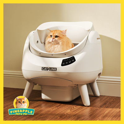(ONHAND) CATLINK OPEN-X Automatic Litterbox with Free Catlink Fountain | Open-top, Smart, Real-time Notification, 1-year Warranty