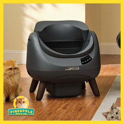 (ONHAND) CATLINK OPEN-X Automatic Litterbox with Free Catlink Fountain | Open-top, Smart, Real-time Notification, 1-year Warranty