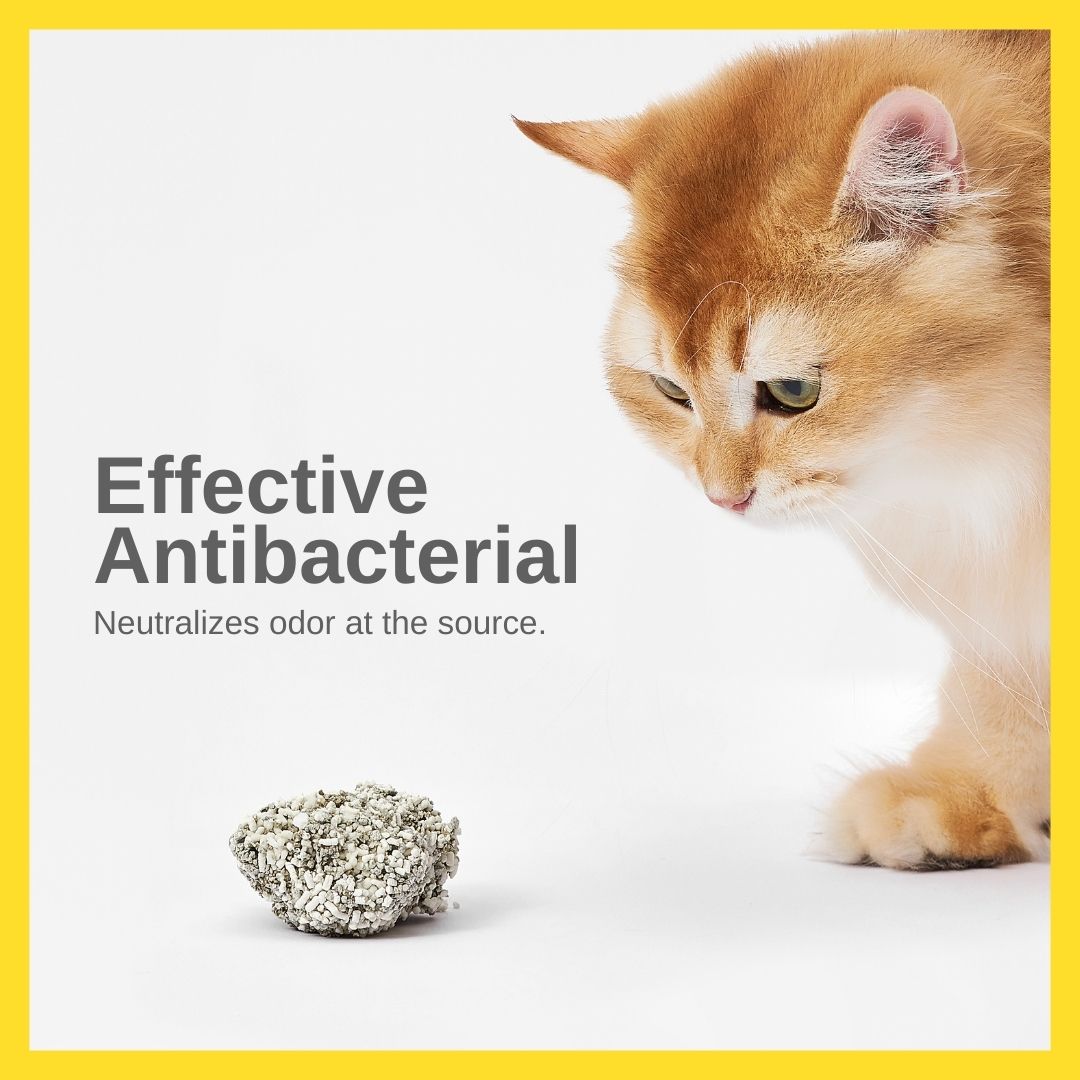 CATLINK Cassava Mixed Litter Sand