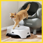Neakasa M1 Plus Automatic Litterbox