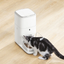 Catlink Feeder Fresh PRO Automatic Feeder (Multi-Cat)