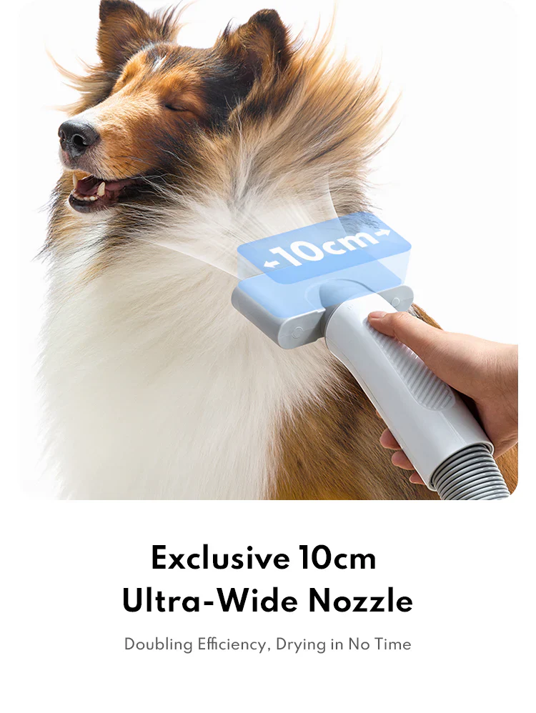 Homerunpet Ultra-quiet Pet Blower