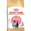 Royal Canin Persian Adult and Kitten Cat Food 2kg