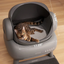 Neakasa M1 Open-top Automatic Cat Litterbox