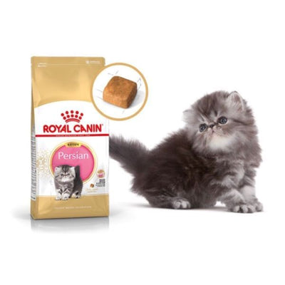 Royal Canin Persian kitten 10kg