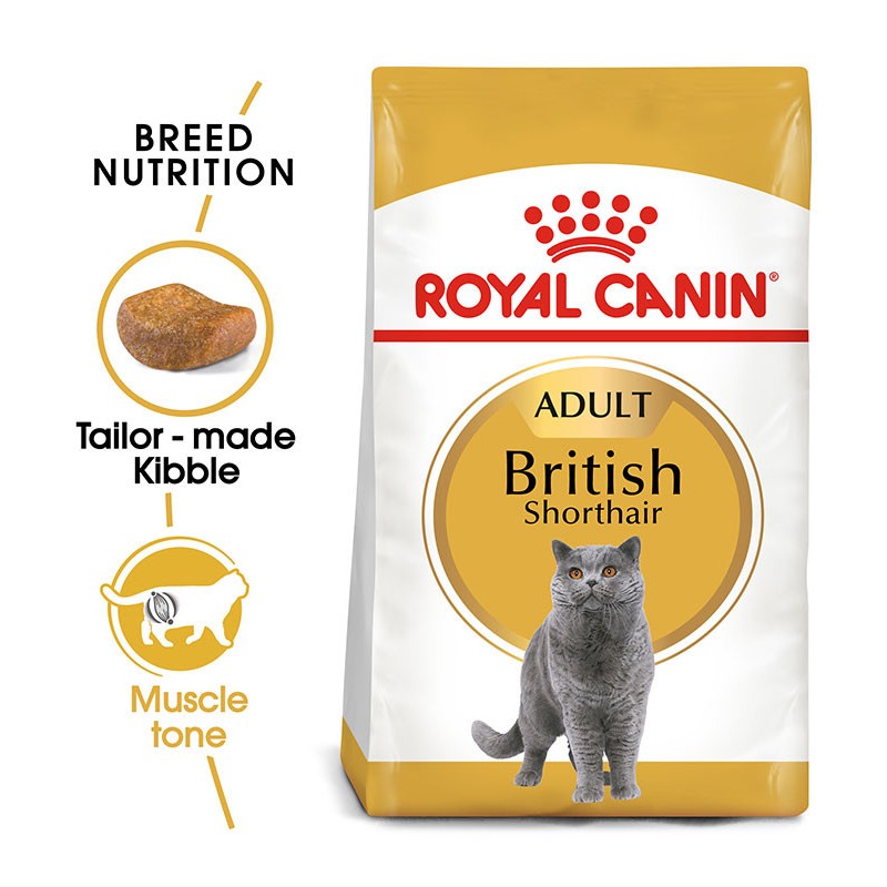 Royal Canin British Shorthair 2kg