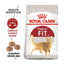 Royal Canin Regular Fit 32 2kg