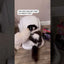 Catlink Baymax Scooper SE Automatic Litterbox