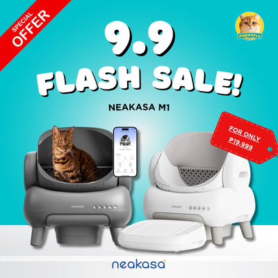 9.9 Neakasa M1 Automatic Litterbox with FREE Freya 5kg Cat Food and Meowtech Cat Littersand 12L